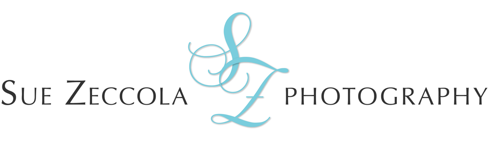 irocdesign-graphic-design-rochester-ny