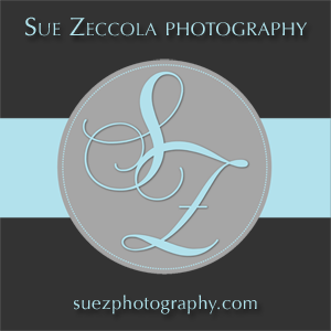 irocdesign-graphic-design-rochester-ny